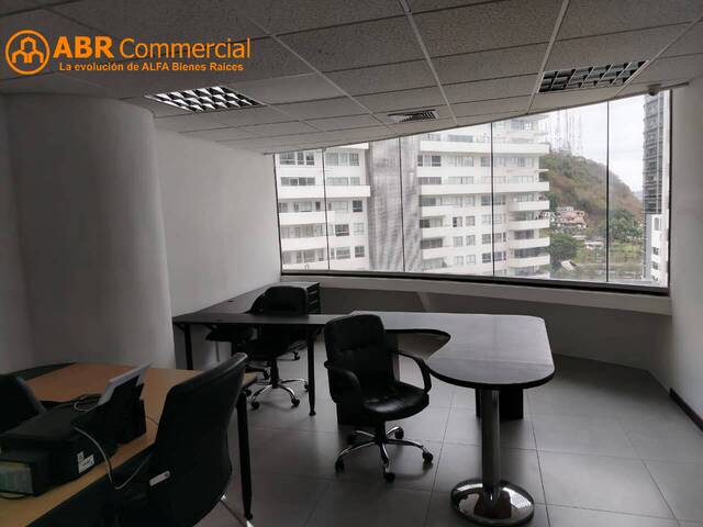 Oficinas para Alquiler en Guayaquil - 2