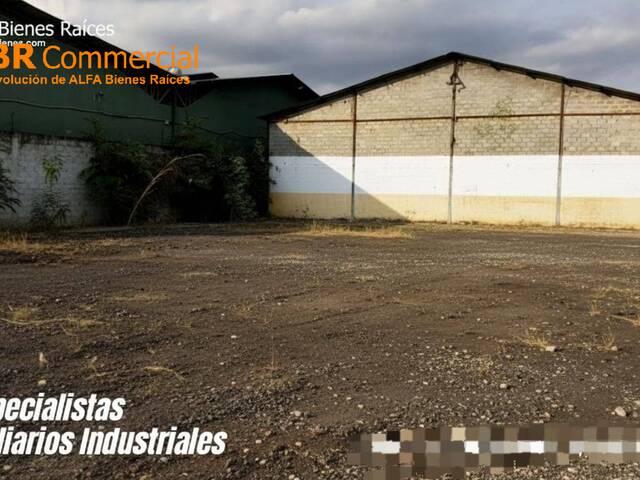 Bodegas para Alquiler en Guayaquil - 5