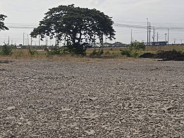 #6430 - Terrenos Industriales para Venta en Durán - G - 1