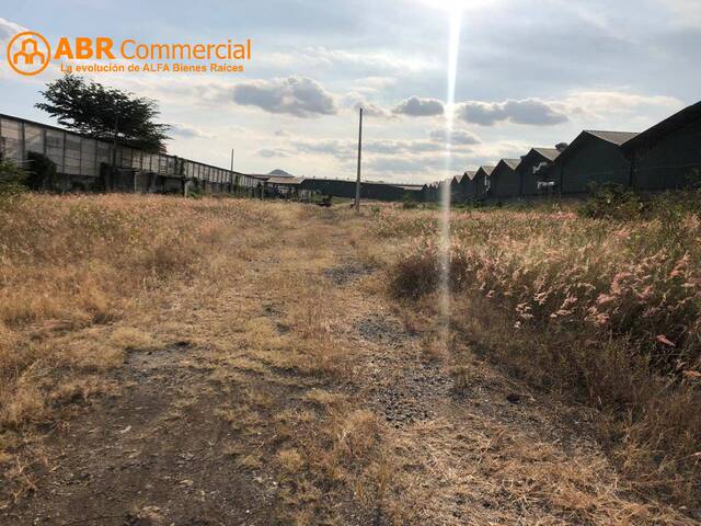 #6501 - Terreno para Alquiler en Guayaquil - G - 1