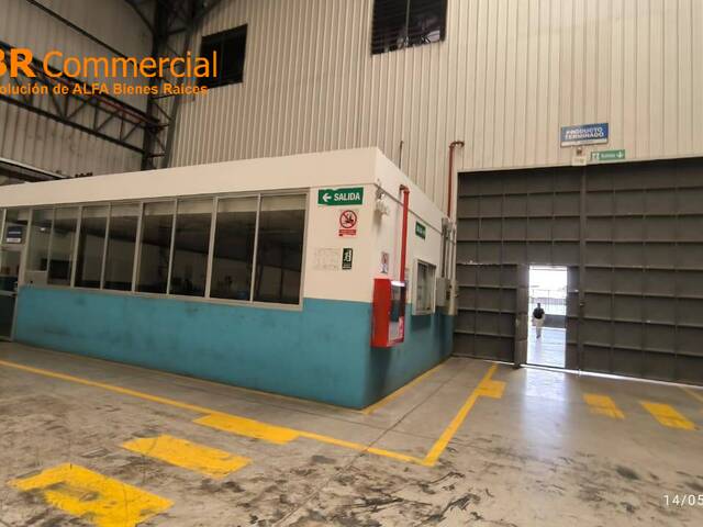 Bodegas para Alquiler en Guayaquil - 4