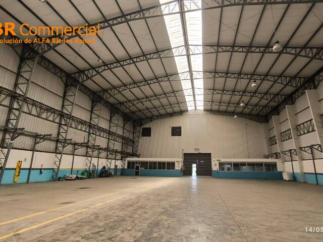 #6550 - Bodegas para Alquiler en Guayaquil - G - 1