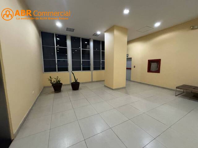Oficinas para Alquiler en Guayaquil - 5