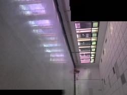 #3213 - Oficinas para Alquiler en Guayaquil - G