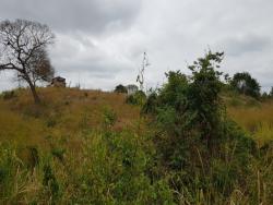 Terreno para Venta en Guayaquil - 5