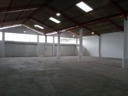 Bodegas para Alquiler en Santo Domingo De Los Tsáchilas - 4